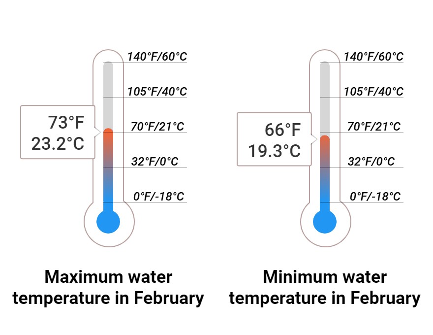 Average Sea temperature